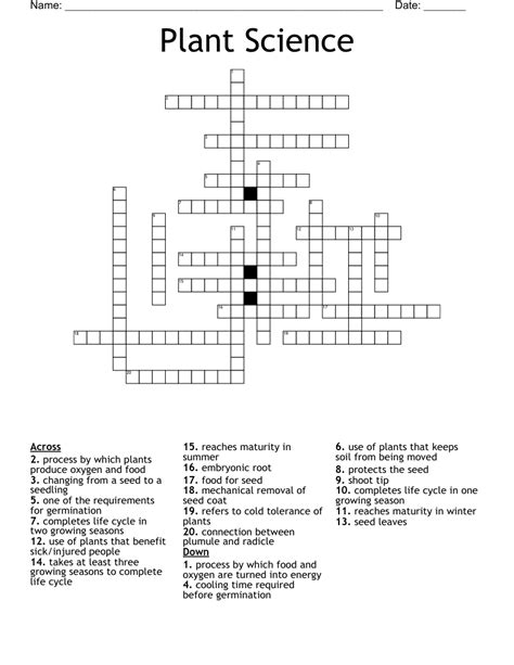 crossword clue. . Plant sci crossword clue